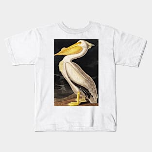 Bird of America  Bird, bird lover, america, beautiful  Public domain painting by John James Audubon Kids T-Shirt